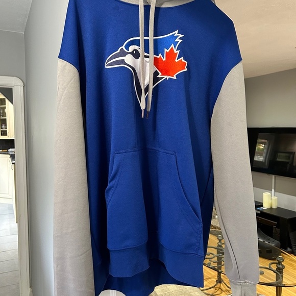 ⚾️ Old School Vintage Toronto Blue Jays Men’s Hoodie - Size L - Picture 1 of 16